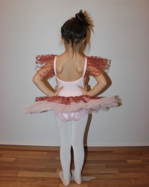 Ayce Kostüm - Kırmızı Puantiyeli Tütü - T14