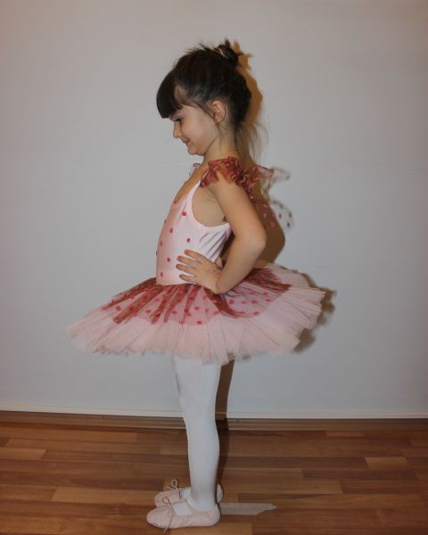 Ayce Kostüm - Kırmızı Puantiyeli Tütü - T14