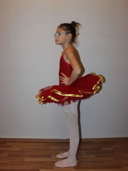 AYCE KOSTÜM - GOLD İŞLEMELİ KIRMIZI TÜTÜ - T35