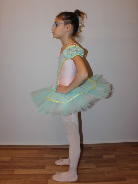 AYCE KOSTÜM - SU YEŞİLİ PEMBE PRENSES TÜTÜ - T38