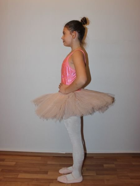 AYCE KOSTÜM - PEMBE  PARLAK TÜTÜ - T61